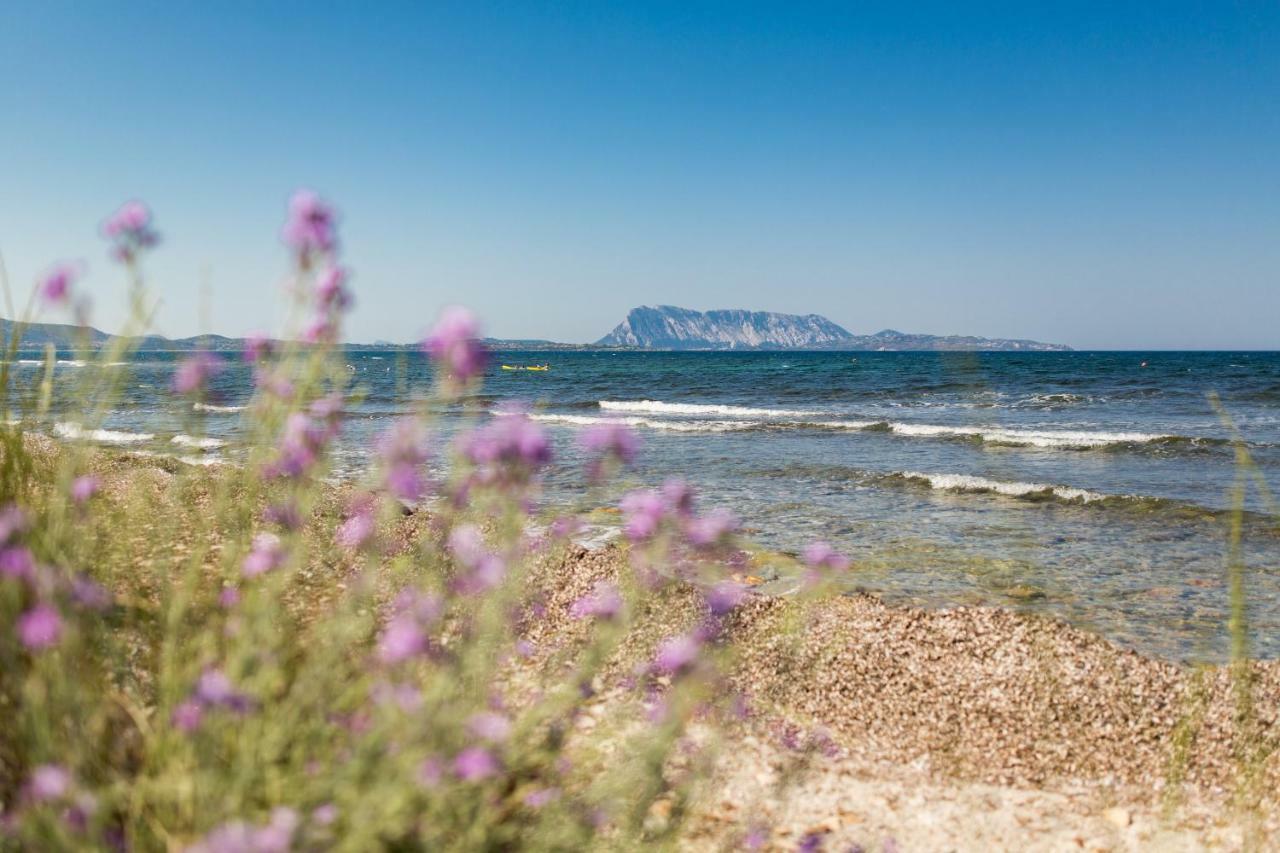 TH San Teodoro - Liscia Eldi Village Esterno foto